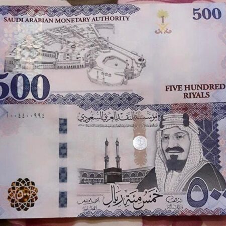 Saudi-Riyal online kaufen